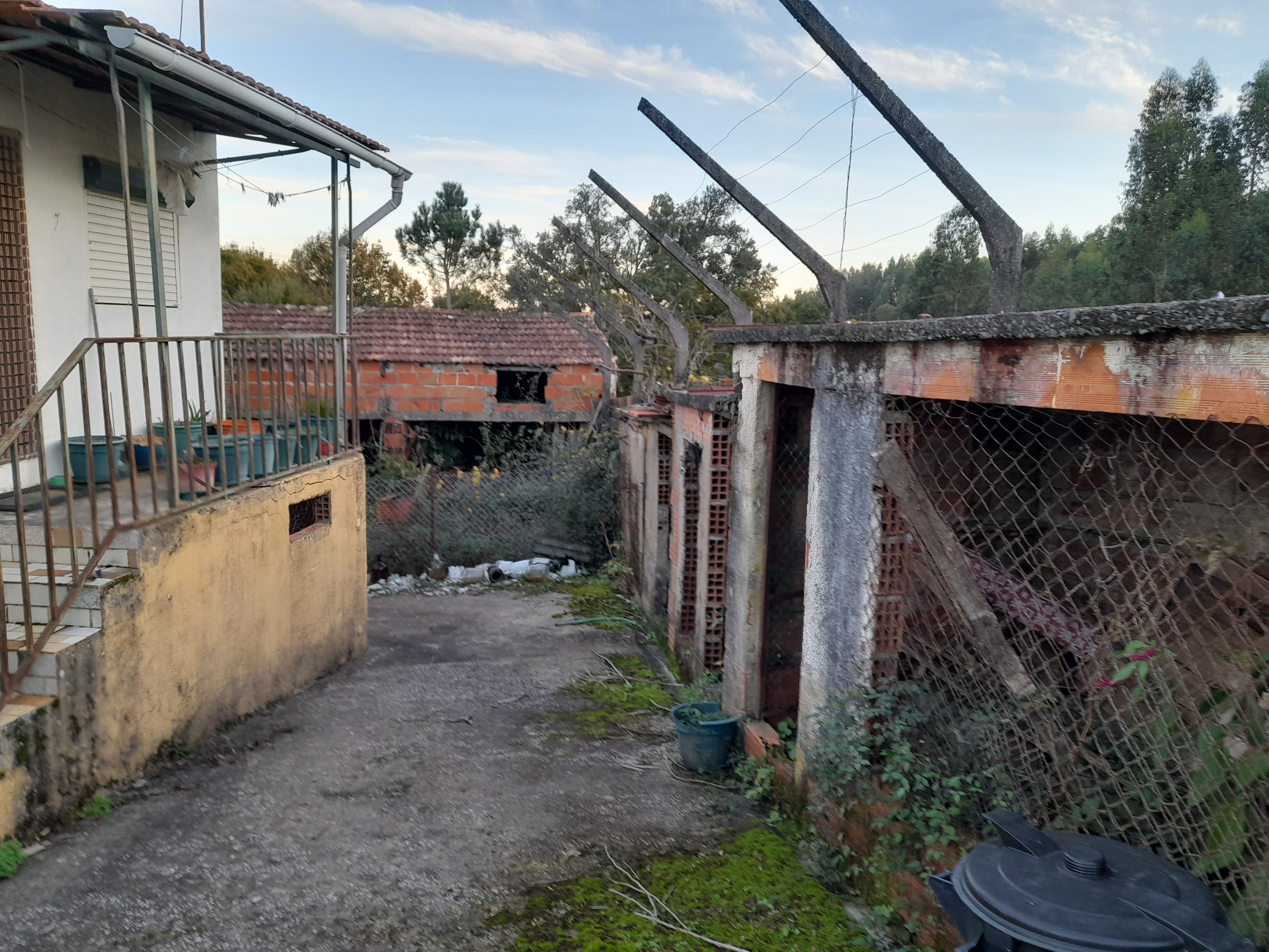 Jardim e varanda